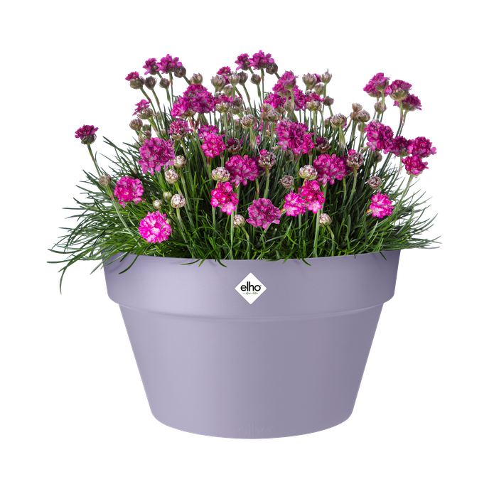 loft urban coupe 35cm lavande lilas